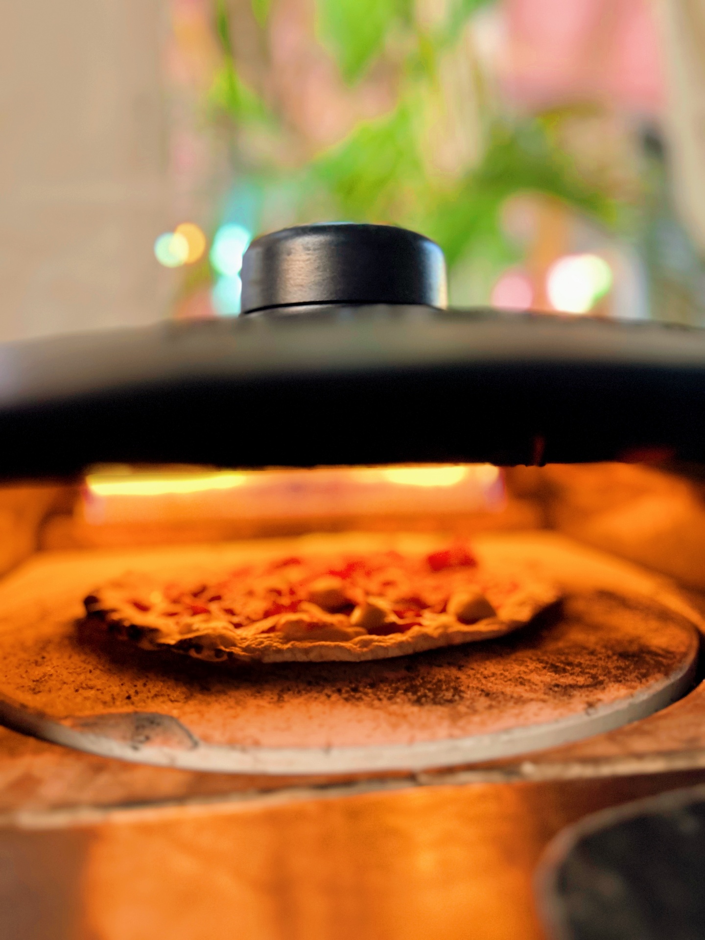 Live Pizza 3